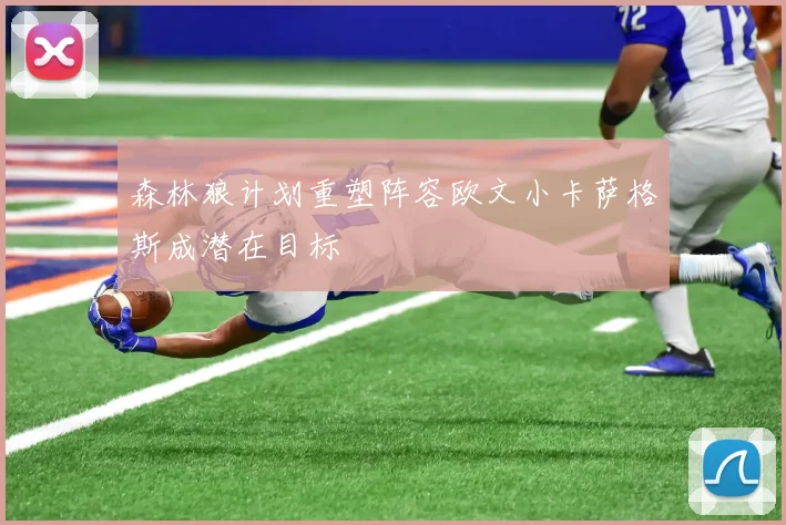 森林狼计划重塑阵容欧文小卡萨格斯成潜在目标